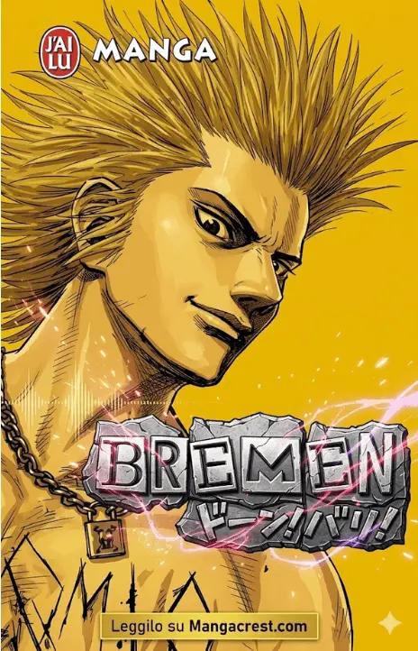 Bremen IT Cover Image
