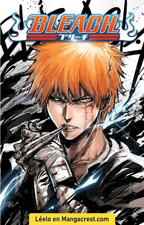 Bleach ES Cover Image