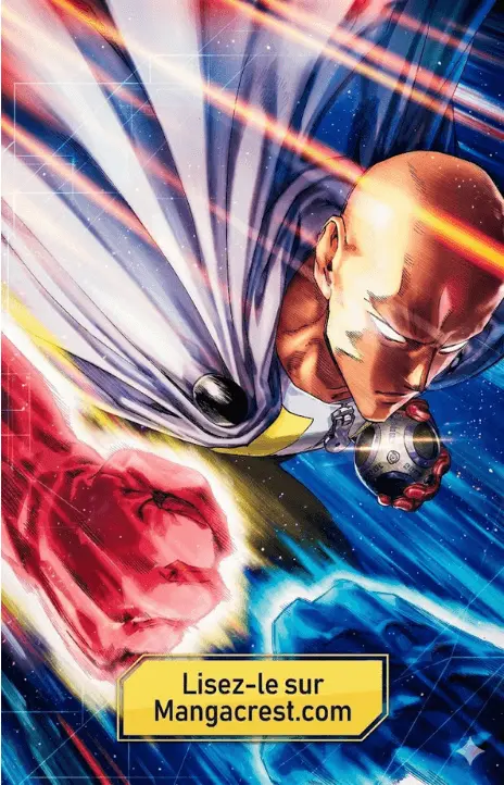 One Punch Man VF Cover Image