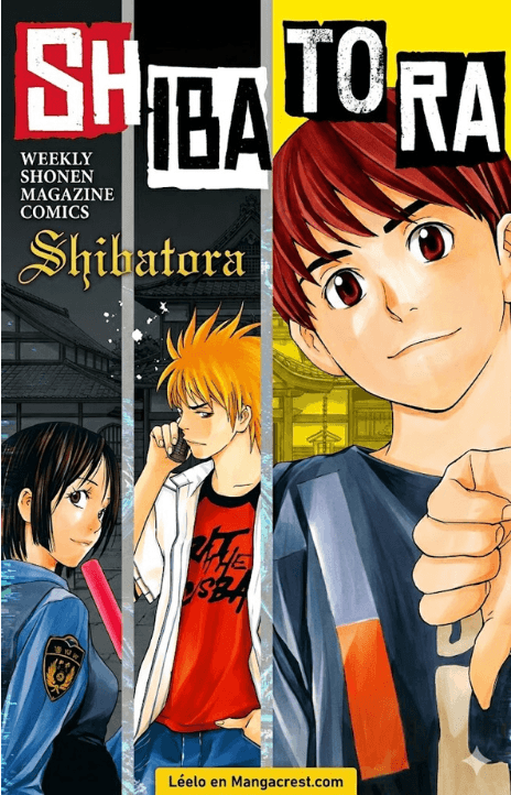 Shibatora VF Cover Image