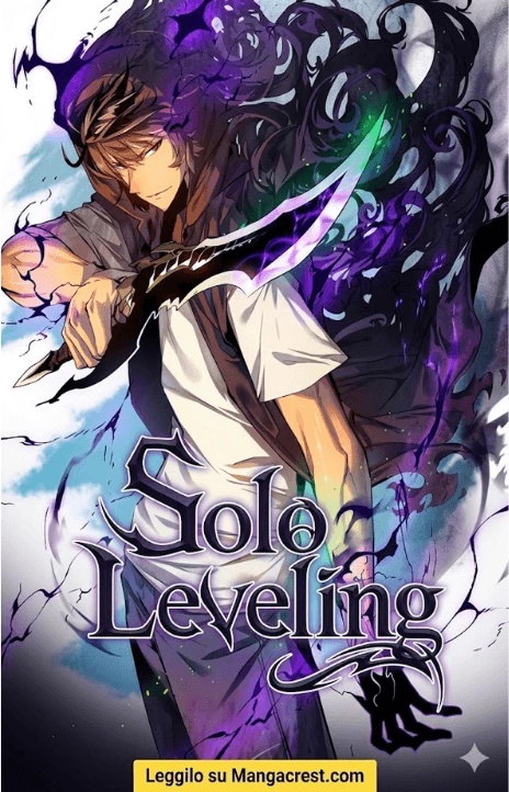 Solo Leveling IT Cover Image